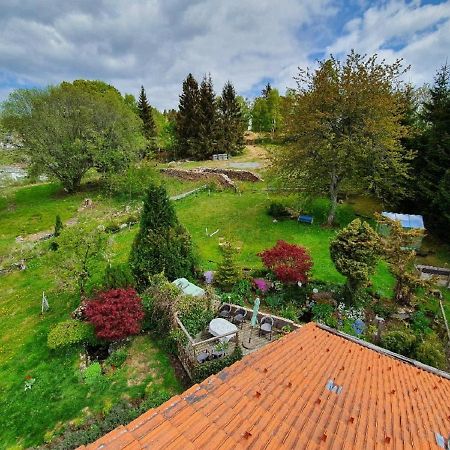 Ferienwohnung Dersch Mauth Exteriör bild