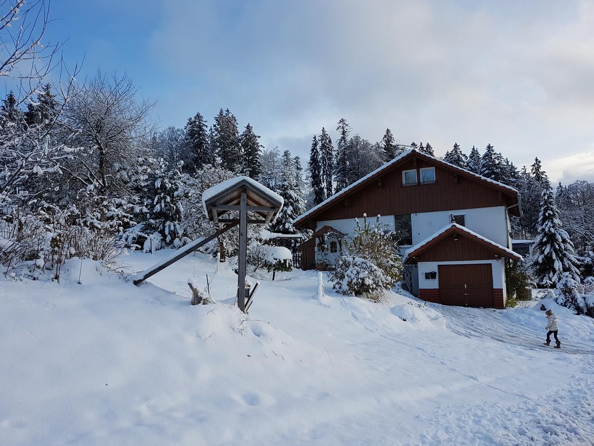 Ferienwohnung Dersch Mauth Exteriör bild