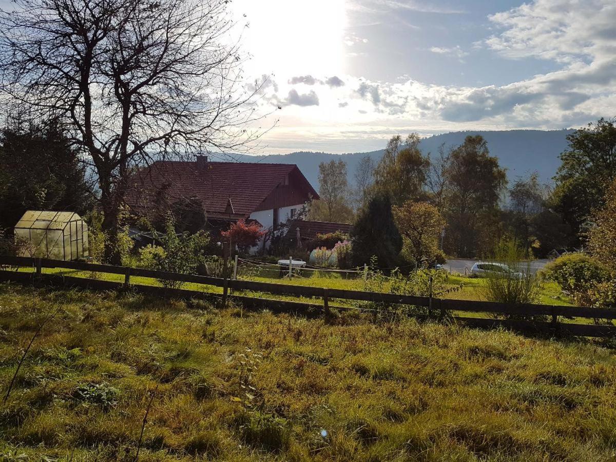 Ferienwohnung Dersch Mauth Exteriör bild
